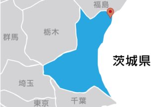 有限会社ナガシマ